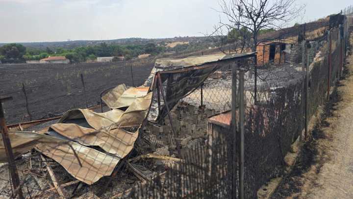 Organizaciones exigen un protocolo de rescate de animales tras la muerte de cientos en el incendio de Tres Cantos