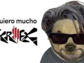Los mejores memes tras el anuncio del line up del Lollapalooza Argentina 2026