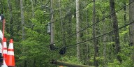 Lake Country Power asking residents to stop clearing trees near downed power lines