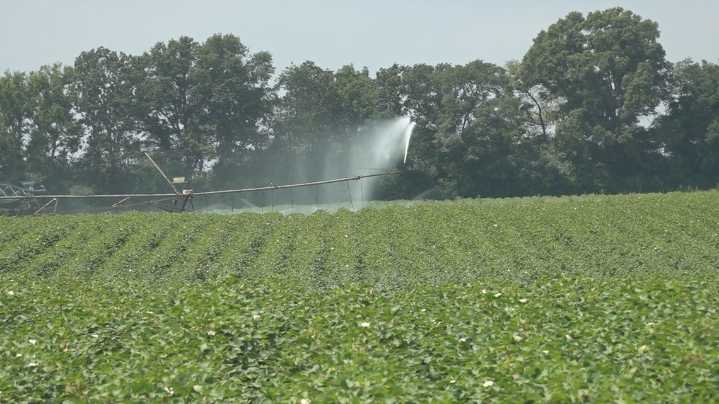 Georgia farmers cautiously hopeful as $66B farm bill offers long
