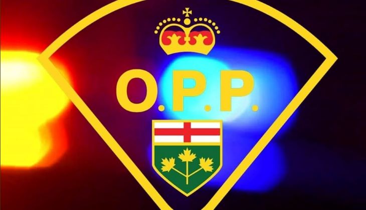 Almaguin OPP investigating fatal collision in Kearney