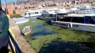 Puno: Muelle sucio daña imagen ante turismo internacional