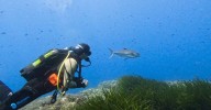 La Bluewave Alliance produce dos nuevos documentales de 'Waves of Tomorrow'