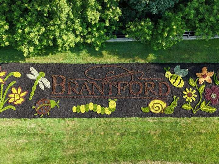 City launches Brantford is Bloomin' campaign | The Stratford Beacon Herald