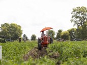 More competitors hoped for at this year's Lambton plowing match