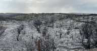 South Rim Road reopens Aug. 29 Black Canyon of the Gunnison