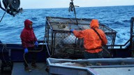 'Deadliest Catch': Jake Anderson Faces Dangerous Conditions While His Son Is Injured Back Home