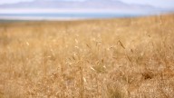 Utah narrowly missed its driest July on record. Can this week break its dry stretch?