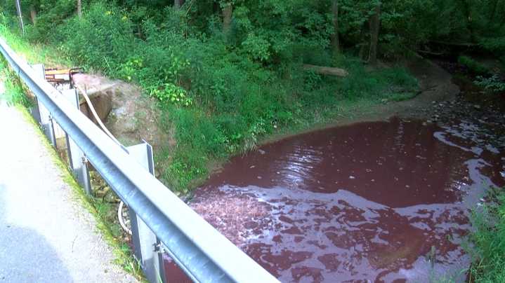 Experts weigh in on water quality in contaminated Carey creek