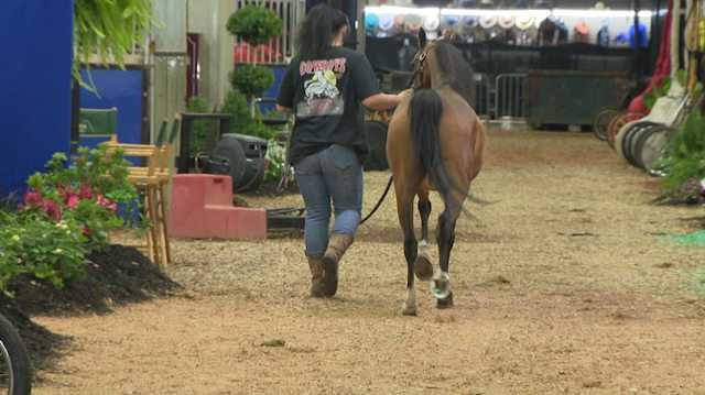 World's Championship Horse Show wraps up at Kentucky State Fair this weekend