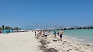 Nueva jornada de crucero en Progreso da un respiro a la economía local