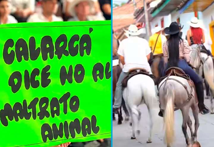 Calarcá elimina cabalgatas obligatorias en sus fiestas: Concejo aprueba proyecto del alcalde Ramos