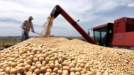 Exportaciones provinciales durante el primer semestre: por qué Santa Fe vendió más, pero recaudó menos