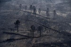 Winds complicate wildfire battle in Spain