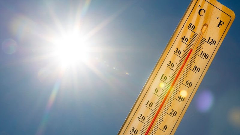 La crisis climática: responsable de la muerte por calor de casi 400 personas en España