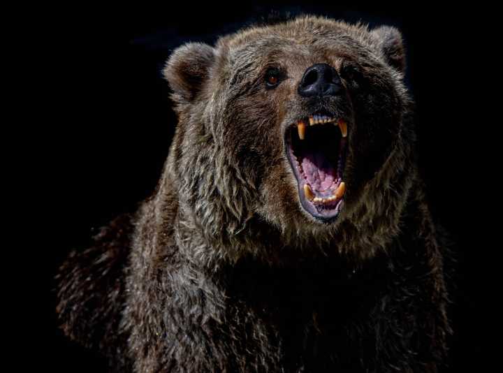 Bitcoin Tumbles Back Below $110K as Crypto Bounce Fails, Ether Plunges 8%