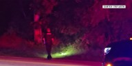 Pedestrian killed in crash, police investigating