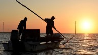 Florida wildlife officials consider reopening bay nationally known for its oysters