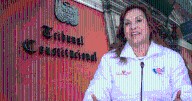 Tribunal Constitucional suspende investigaciones a Dina Boluarte hasta que termine su mandato