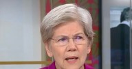 Warren: Republicans Are Determined to 'Break Laws' to Hang on to Power
