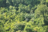 Reserva Yavarí Mirim: Organizaciones exigen categorización inmediata para proteger a pueblos en aislamiento