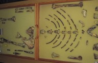 Ethiopian fossil Lucy leaves for her first exhibition in Europe