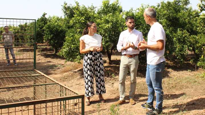 Las dos jaulas de La Marjalería de Castellón atrapan a 15 jabalíes en tres días