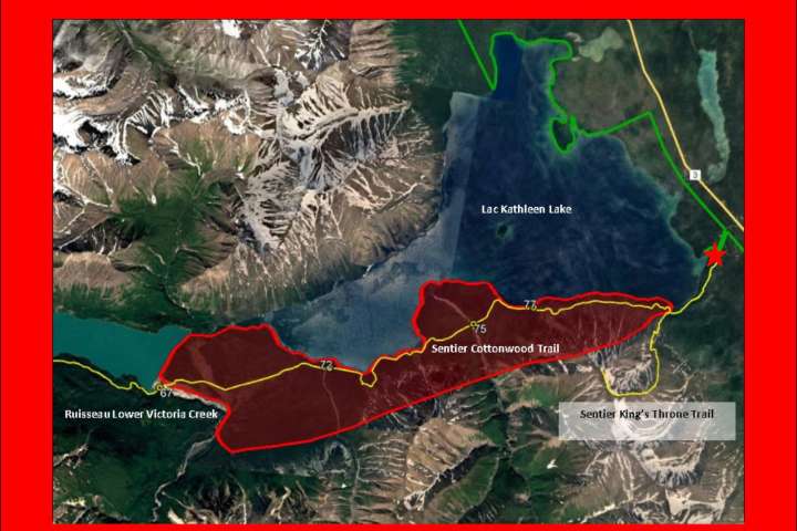 Bold bear prompts Kluane National Park trail closure in Yukon