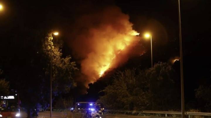 Un incendio forestal siembra la alarma en Granada