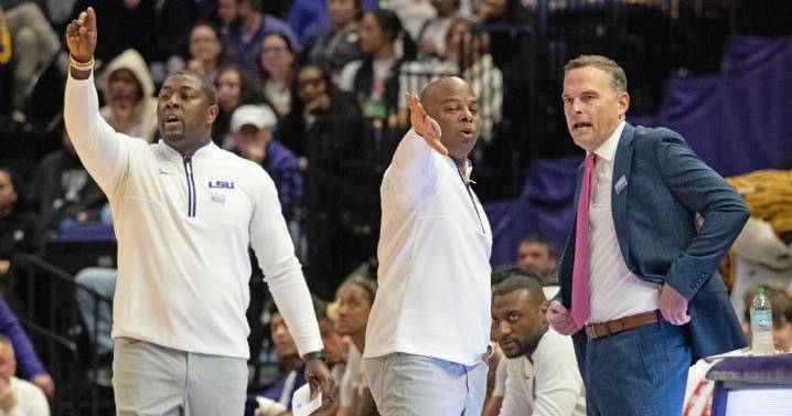 LSU basketball adds assistant coach to Matt McMahon's staff
