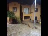 Familias de San Lorenzo presentan demanda civil y penal por daños a causa de inundación