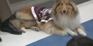 Texas A&M provides health update on Reveille X