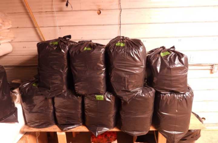 $55-million illegal cannabis seizure by OPP leads to 16 people charged