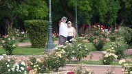 El pronóstico del tiempo en Mendoza anticipó un jueves caluroso, con una máxima de 24°C
