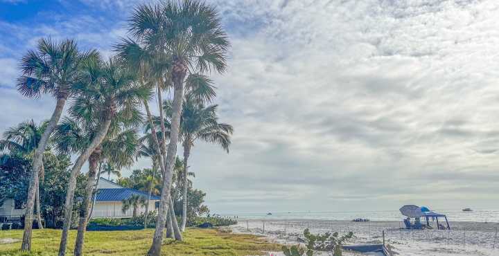 Flesh-Eating Bacteria Cases On The Rise In The Gulf Coast
