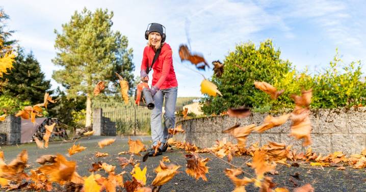 Leaf blowing sparks more wars with neighbours than anything else as Jeremy Clarkson rants