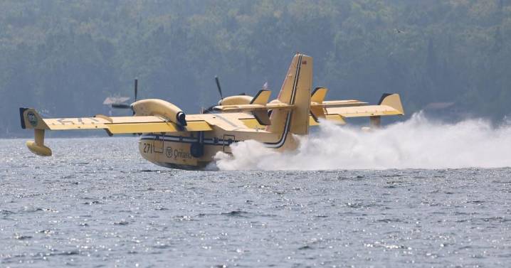 Kawartha Lakes crews fight forest fire burning 27 hectares