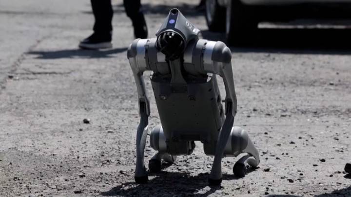 Waldog: el perro robot que ‘lucha’ contra el maltrato animal en México