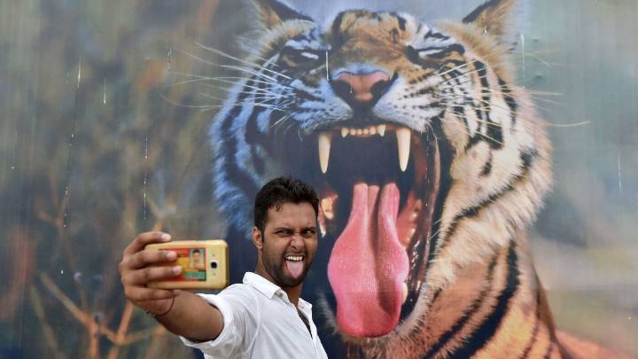 Whatever happened to the push to stop risky selfies : Goats and Soda : NPR