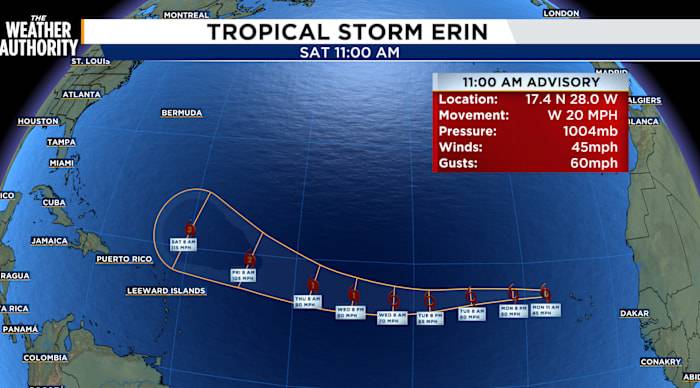 Tropical Storm Erin is expected to become a major hurricane, but will it impact Florida? Here’s what the models say
