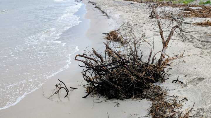 View The Point at Topsail Beach