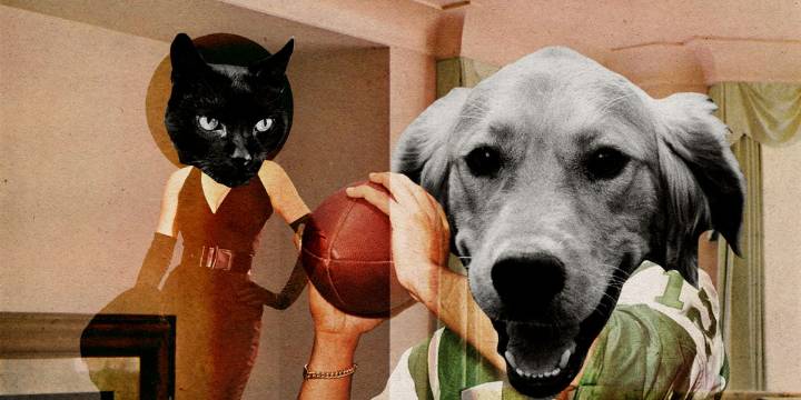 What Does It Mean to Be a Black Cat Girlfriend?