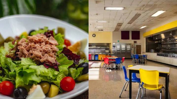 París y otras ciudades prohíben el atún en comedores escolares, y este es el motivo