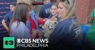 Phillies wives host Save A Pet at the Park event to support the PSPCA