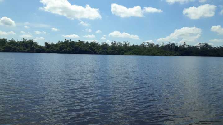 En la Ciénaga de Santa Marta firman pacto por el carbono azul
