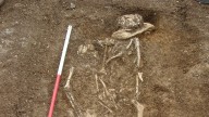 'West African DNA' found in 7th Century graves in Southern England