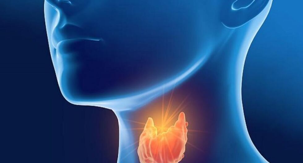 Comer para vivir: ¿Qué parte del cuerpo afecta más el hipotiroidismo?