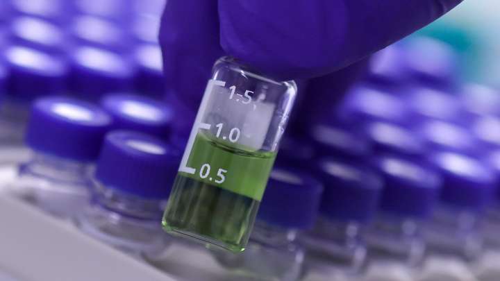 Cannabis testing lab owners banned from industry, ending long dispute