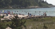 Bacteria that can cause rare "flesh-eating" disease infects swimmer at Cape Cod beach