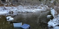Five poachers receive multiple summonses after poaching investigation, Maine Warden Service says